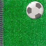 BOJOS PEL FUTBOL | 9788424620547 | MORTIMER, GAVIN; COOPER , JOHN | Llibreria Online de Tremp