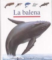 BALENA, LA | 9788482868264 | GALLIMARD JEUNESSE, ÉDITIONS