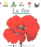 FLOR, LA (CATALA) | 9788476295953 | GALLIMARD JEUNESSE, ÉDITIONS