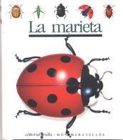 MARIETA, LA | 9788476295250 | GALLIMARD JEUNESSE, ÉDITIONS