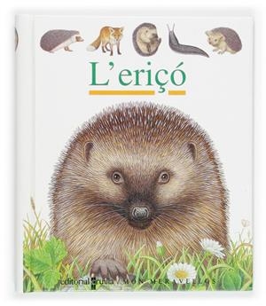 ERIÇO, L' | 9788466107280 | GALLIMARD JEUNESSE, ÉDITIONS/DE HUGO, PIERRE | Llibreria Online de Tremp