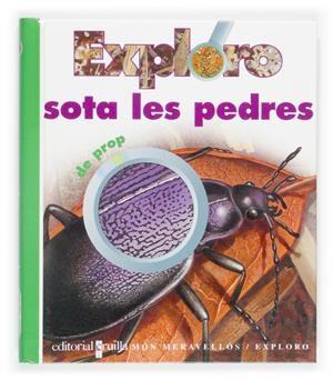 EXPLORO SOTA LES PEDRES DE PROP | 9788466107259 | GALLIMARD JEUNESSE, ÉDITIONS | Llibreria Online de Tremp