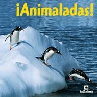 ANIMALADAS | 9788424623678