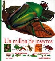 MILLON DE INSECTOS, UN | 9788434852051 | ALBOUY, VICENT/DE SAIRIGNÉ-BON, CATHERINE | Llibreria Online de Tremp