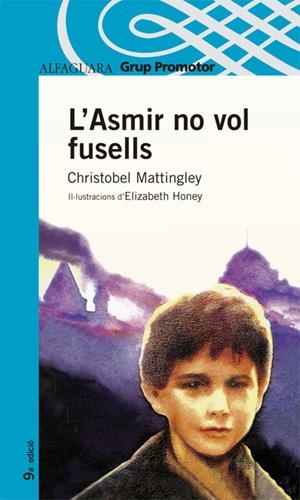 ASMIR NO VOL FUSELLS, L' | 9788484355137 | MATTINGLEY, CHRISTOBEL | Llibreria Online de Tremp