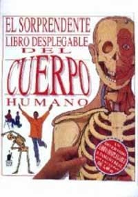 SORPRENDENTE LIBRO DESPLEGABLE DEL CUERPO, EL | 9788427241619 | HAWCOCK, DAVID | Llibreria Online de Tremp