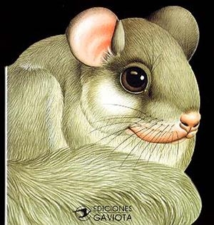 UN LIRON EN EL BOSQUE | 9788439289050 | Llibreria Online de Tremp