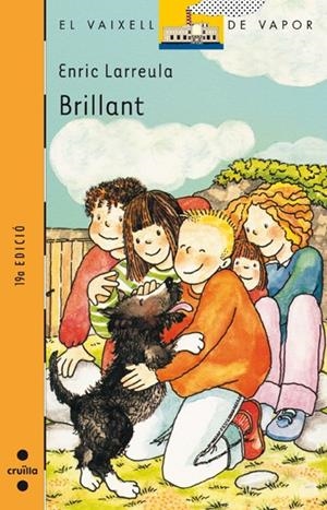 BRILLANT | 9788476291603 | LARREULA I VIDAL, ENRIC
