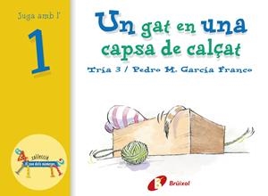 GAT EN UN CAPSA DEL CALÇ, UN | 9788483041529 | GARCIA FRANCO, PEDRO M. | Llibreria Online de Tremp