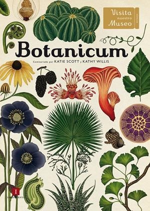 BOTANICUM | 9788416542437 | WILLIS, KATHY | Llibreria Online de Tremp