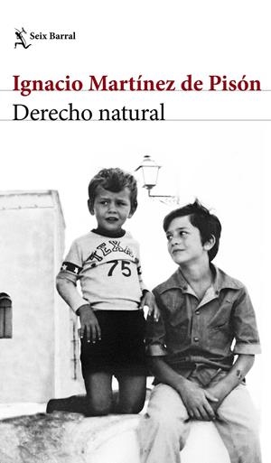 DERECHO NATURAL | 9788432232220 | IGNACIO MARTÍNEZ DE PISÓN | Llibreria Online de Tremp