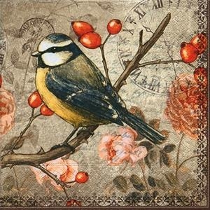 TOVALLÓ PAPER OCELL BLAU | 4037698016781 | Llibreria Online de Tremp