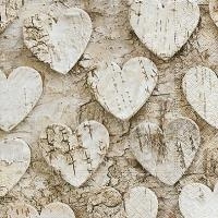 TOVALLÓ PAPER CORS BEIG MARRÓ | 4037698046825 | Llibreria Online de Tremp