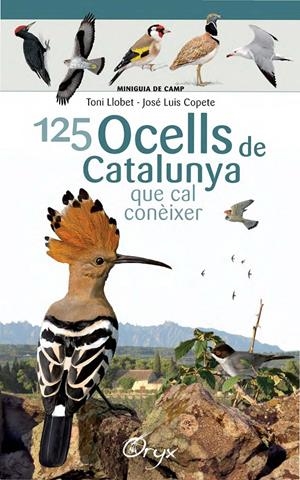 125 OCELLS DE CATALUNYA | 9788490346747 | LLOBET FRANÇOIS, TONI/COPETE, JOSÉ LUIS | Llibreria Online de Tremp