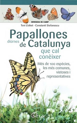 PAPALLONES DIÜRNES DE CATALUNYA | 9788490346754 | LLOBET FRANÇOIS, TONI/STEFANESCU, CONSTANTÍ | Llibreria Online de Tremp