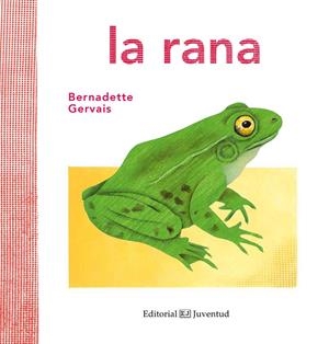 LA RANA | 9788426144584 | GERVAIS, BERNADETTE | Llibreria Online de Tremp