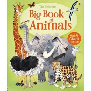 BIG BOOK OF BIG ANIMALS | 9781474928953 | HAZEL MASKELL