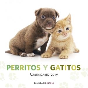 CALENDARIO PERRITOS Y GATITOS 2019 | 9788448024666 | AA. VV. | Llibreria Online de Tremp