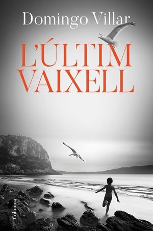 L'ÚLTIM VAIXELL | 9788466425490 | VILLAR, DOMINGO | Llibreria Online de Tremp