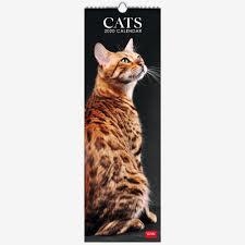 CALENDAR 2020 "CATS" | 8051739303889 | Llibreria Online de Tremp