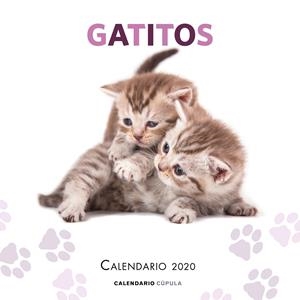 CALENDARIO GATITOS 2020 | 9788448026165 | AA. VV. | Llibreria Online de Tremp