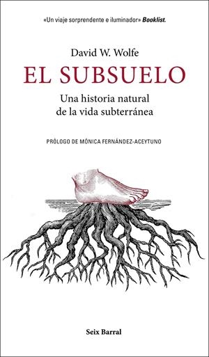 EL SUBSUELO | 9788432235603 | WOLFE, DAVID W. | Llibreria Online de Tremp