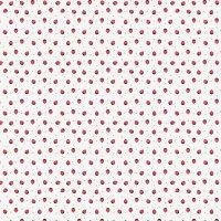 PAPER EMBOLICAR LEGAMI MARIETES | 8052783612484 | Llibreria Online de Tremp