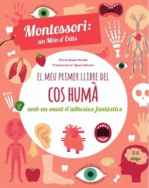EL MEU PRIMER LLIBRE DEL COS HUMA (VVKIDS) | 9788468250052 | PIRODDI, CHIARA | Llibreria Online de Tremp