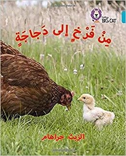 BC 7 - CHICKEN TO HEN (ARABIC) | 9780008185626