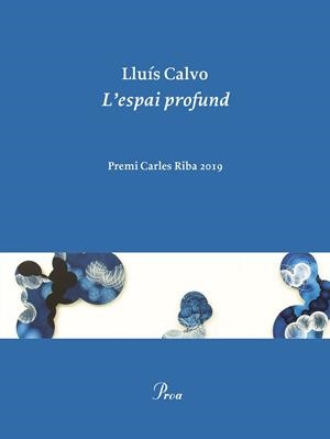 L'ESPAI PROFUND | 9788475888248 | CALVO, LLUÍS | Llibreria Online de Tremp
