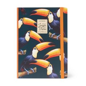 LLIBRETA RATLLES LEGAMI M TUCAN | 8051739308365