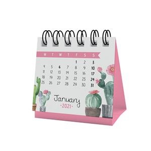 MICRO CALENDARI 2021 CAN'T TOUCH THIS | 8059174837891