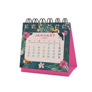 MICRO CALENDARI 2021 TROPICAL DREAM | 8059174837914