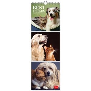 CALENDARI PARET 2021 BEST FRIENDS | 8059174836474