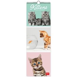 CALENDARI PARET 2021 KITTENS | 8059174836498