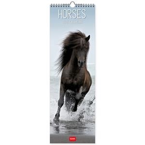 CALENDARI PARET 2021 HORSES | 8059174836511