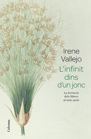 L'INFINIT DINS D'UN JONC | 9788466426947 | VALLEJO, IRENE | Llibreria Online de Tremp