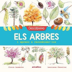 DESCOBREIXO ELS ARBRES I APRENC A RECONÈIXER-LOS | 9788417599195 | LECOEUVRE, CLAIRE | Llibreria Online de Tremp