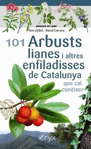 101 ARBUSTS, LIANES I ALTRES ENFILADISSES DE CATALUNYA | 9788413560397 | LLOBET FRANÇOIS, TONI/CARRERA BONET, DAVID | Llibreria Online de Tremp