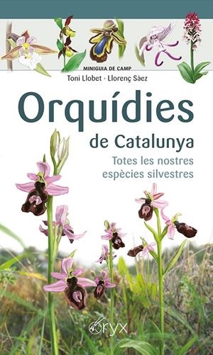 ORQUÍDIES DE CATALUNYA | 9788413560403 | SÀEZ GOÑALONS, LLORENÇ/LLOBET FRANÇOIS, TONI | Llibreria Online de Tremp