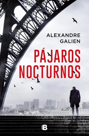 PÁJAROS NOCTURNOS | 9788466669443 | GALIEN, ALEXANDRE | Llibreria Online de Tremp