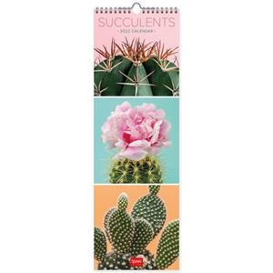 CALENDARI PARET SUCCULENTS 2022 | 8054320562283 | Llibreria Online de Tremp