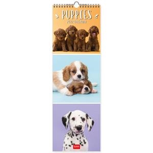CALENDARI PARET PUPPIES 2022 | 8054320562160 | Llibreria Online de Tremp