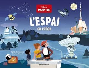 L'ESPAI EN RELLEU | 9788418444074 | DUSSAUSSOIS, SOPHIE/PICARD, CHARLINE | Llibreria Online de Tremp