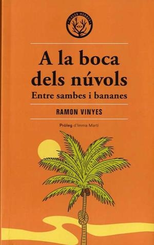 A LA BOCA DELS NÚVOLS | 9788412316582 | VINYES CLUET, RAMON | Llibreria Online de Tremp