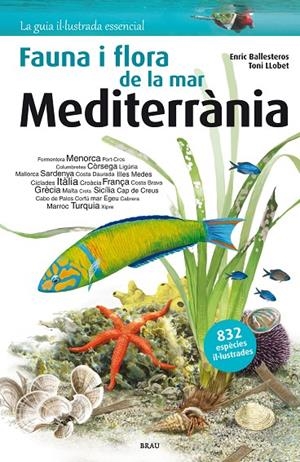 FLORA I FAUNA DE LA MAR MEDITERRÀNIA | 9788415885979 | BALLESTEROS SAGARRA, ENRIC | Llibreria Online de Tremp