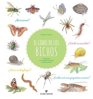EL LIBRO DE LOS BICHOS | 9788417800413 | TORDJMAN, NATHALIE | Llibreria Online de Tremp