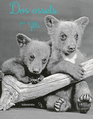 DOS OSSETS | 9788418558283 | KOFFLER, CAMILLA | Llibreria Online de Tremp