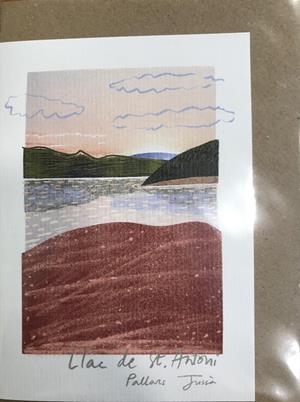 TARGETA POSTAL LLAC | VERDENY9 | VERDENY, MIREIA | Llibreria Online de Tremp