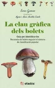 GUIA DESPLEGABLE LA CLAU GRAFICA DELS BOLETS | 9788418243684 | ENRIC GRACIA/AGNES I AINA AMBLAS CASALS | Llibreria Online de Tremp